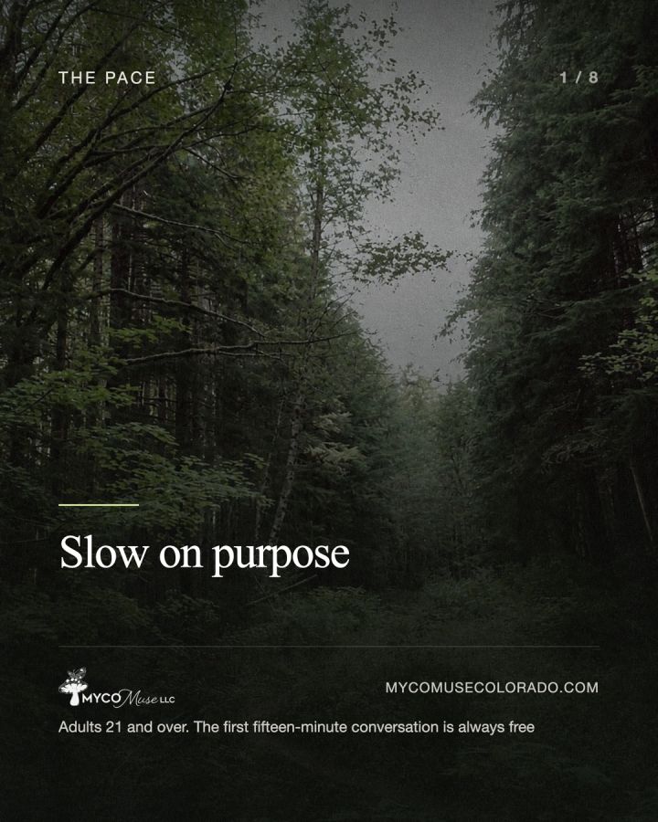 Slow on purpose. If my practice has a motto, that is it. Everything about this work rewards patience: the screening that takes as long as...