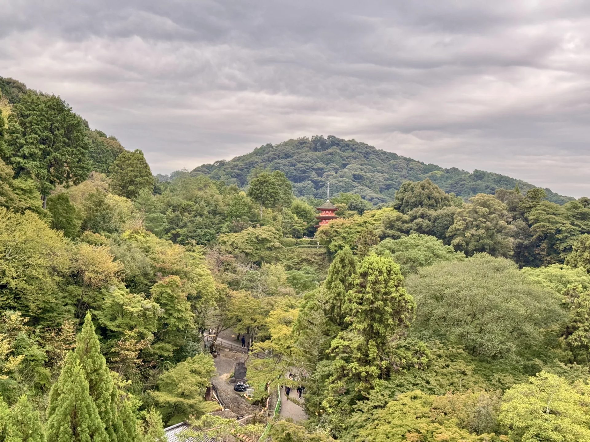 Forested mountain valley under drifting clouds