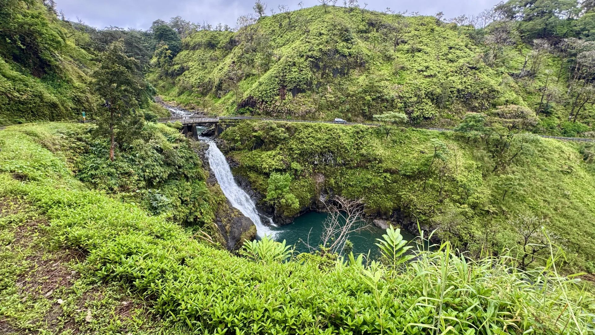 Twin waterfalls pouring into a green canyon pool